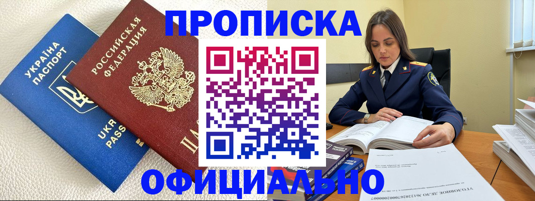 прописка поиск в Кингисеппе